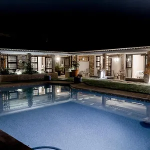 https://wagtails-guest-house.port-elizabeth-hotel.com
